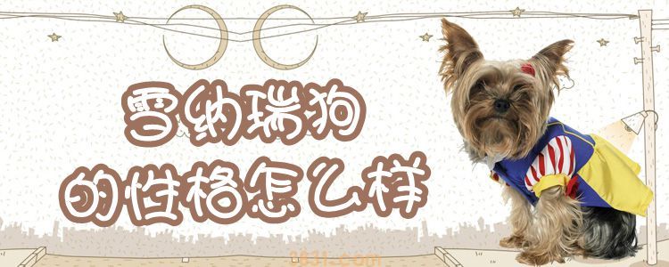 雪纳瑞狗的性格怎么样(图1)