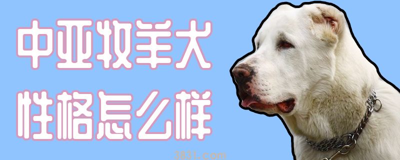 中亚牧羊犬性格怎么样(图1)