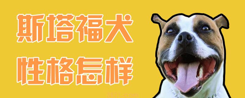 斯塔福犬性格怎样(图1)