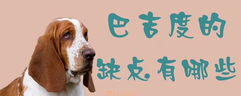 巴吉度的缺点有哪些(图1)