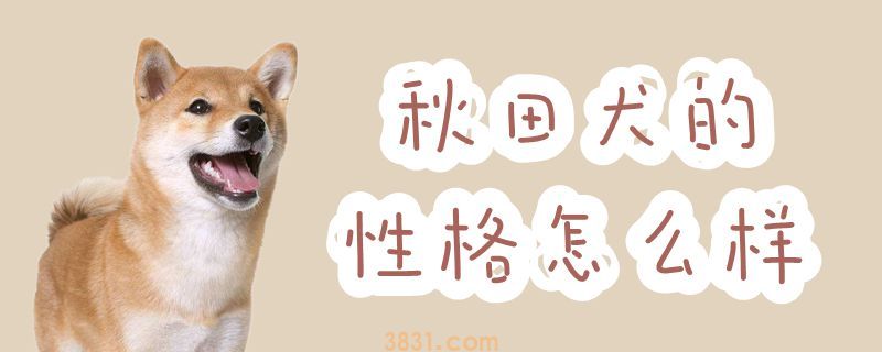 秋田犬的性格怎么样(图1)