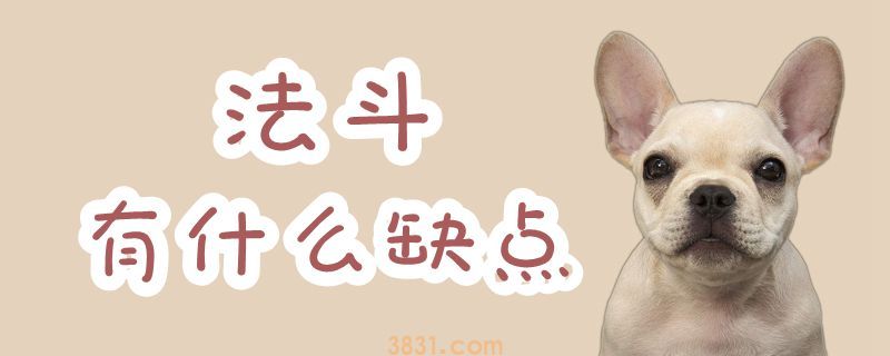 法斗有什么缺点(图1)