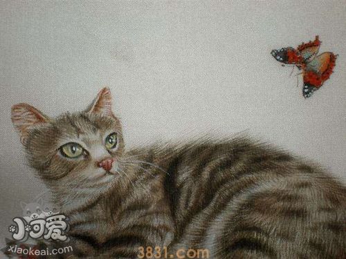 怎么训练澳大利亚雾猫大小便 澳大利亚雾猫大小便训练(图1)