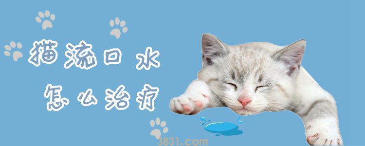 猫流口水怎么治疗(图1)