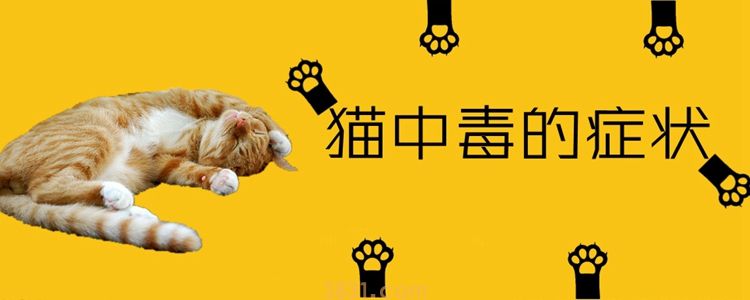 猫中毒的症状(图1)