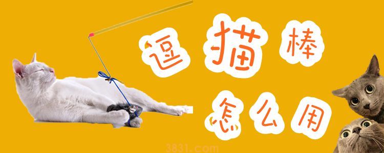 逗猫棒怎么用(图1)