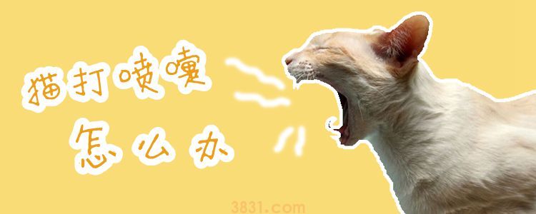猫打喷嚏怎么办(图1)