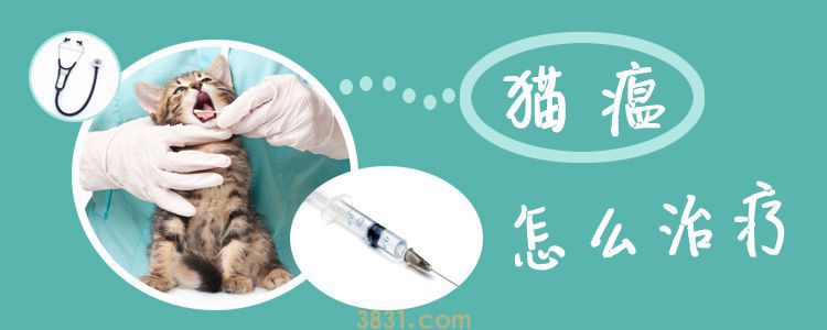 猫瘟怎么治疗(图1)