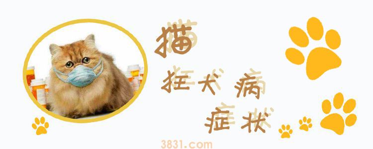 猫狂犬病症状(图1)