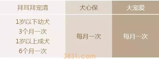狗体内驱虫要怎么吃狗狗不抗拒 狗狗体内驱虫药的注意事项(图2)