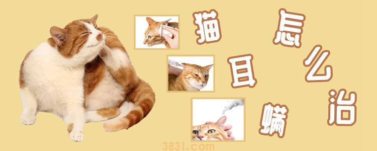 猫耳螨怎么治(图1)