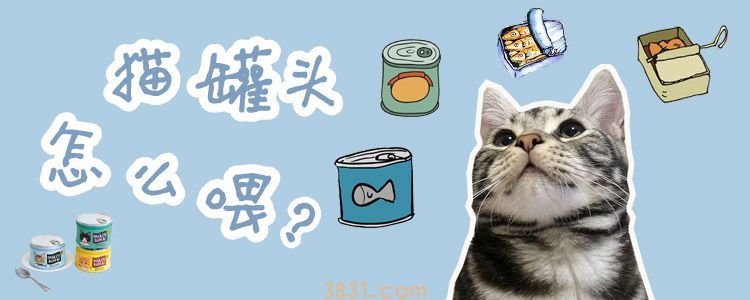 猫罐头怎么喂(图1)