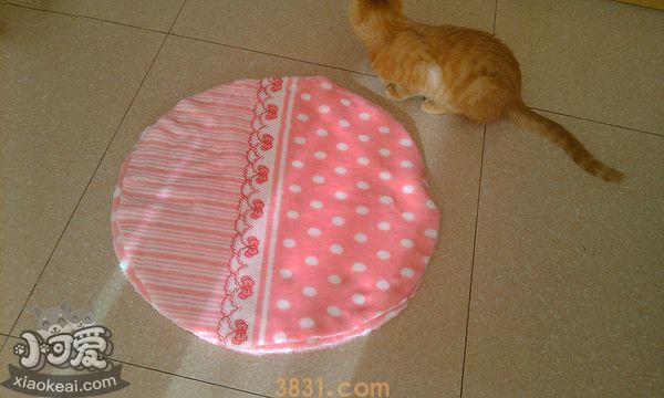 猫窝怎么做(图3)