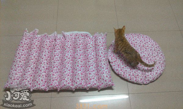 猫窝怎么做(图6)