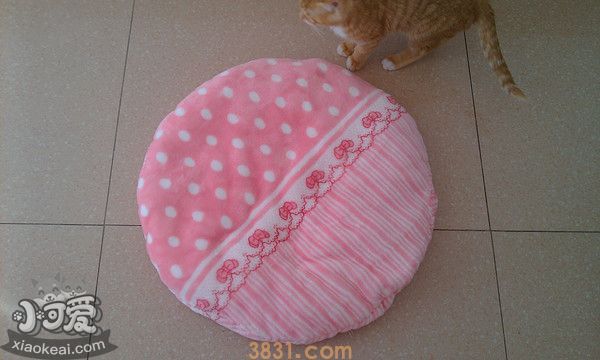 猫窝怎么做(图8)