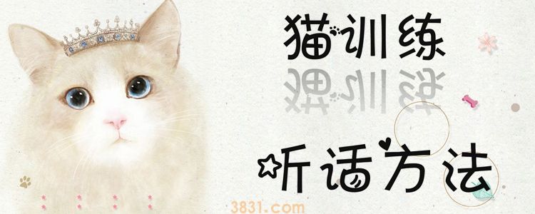 猫训练听话方法(图1)
