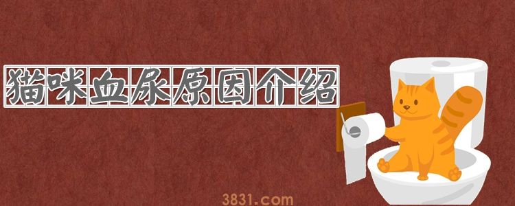 猫咪血尿原因介绍(图1)