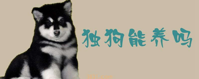 独狗能养吗(图1)