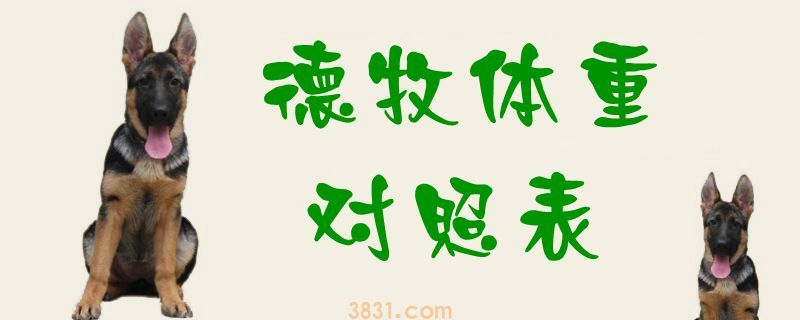 德牧体重对照表(图1)