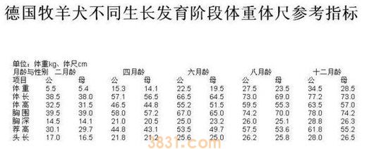 德牧体重对照表(图2)