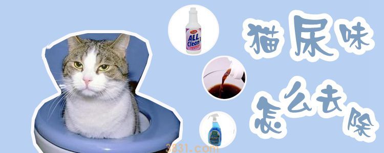 猫尿味怎么去除(图1)