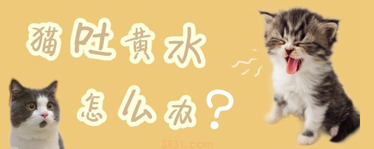 猫吐黄水怎么办(图1)