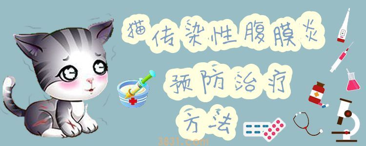 猫传染性腹膜炎治疗预防方法(图1)
