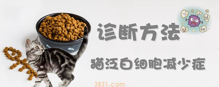 猫泛白细胞减少症的诊断方法(图1)