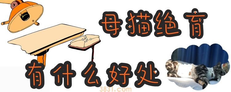 母猫绝育有什么好处(图1)