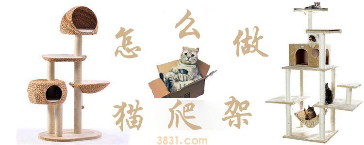 怎么做猫爬架(图1)