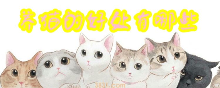养猫的好处有哪些(图1)