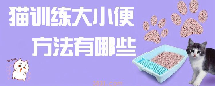 猫训练大小便方法有哪些(图1)