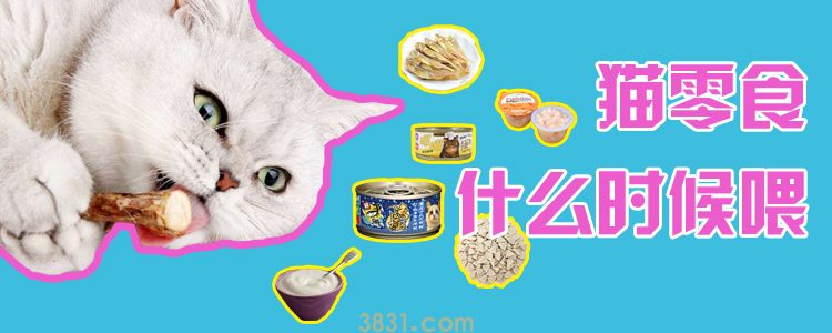 猫零食什么时候喂(图1)
