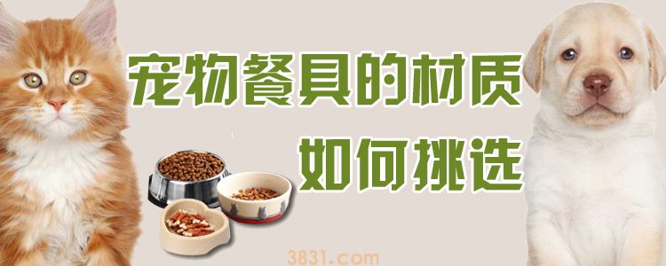 宠物餐具的材质如何挑选(图1)