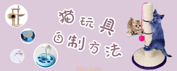 猫玩具自制方法(图1)