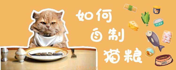 如何自制猫粮 自制猫粮的三个方法(图1)