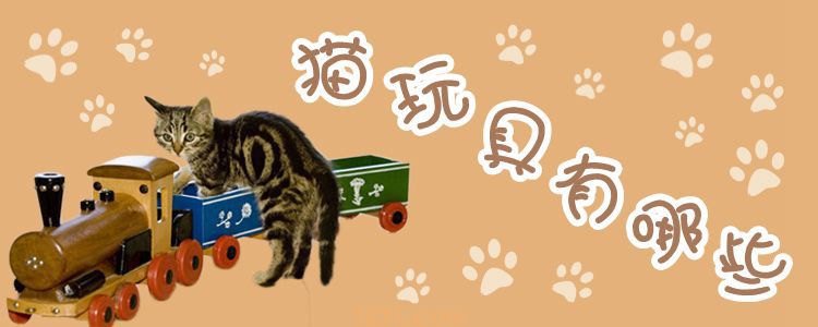 猫玩具有哪些(图1)