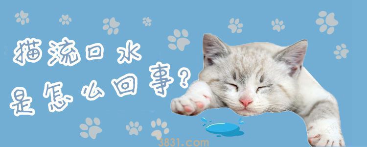 猫流口水是怎么回事(图1)
