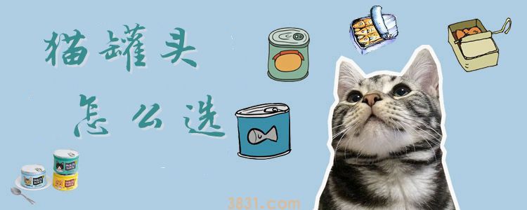 猫罐头怎么选(图1)