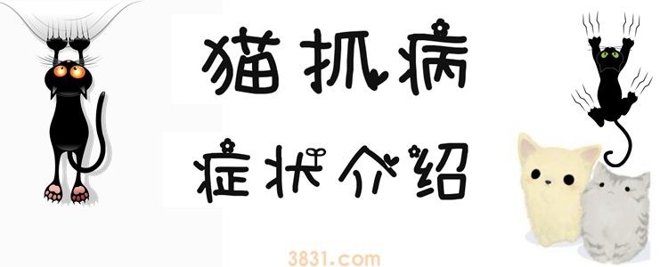 猫抓病症状有哪些(图1)