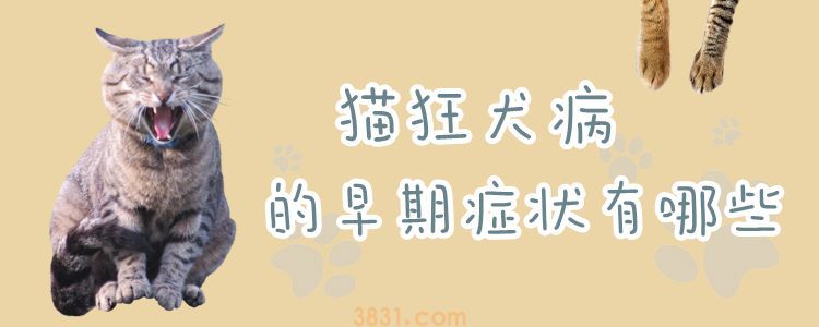 猫狂犬病的早期症状有哪些(图1)