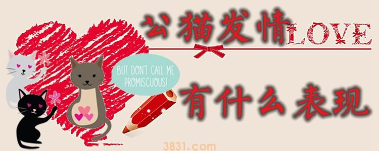 公猫发情有什么表现(图1)