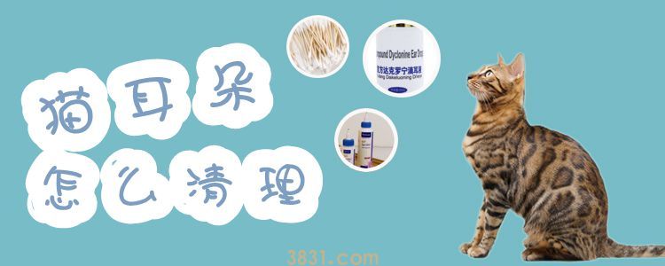 猫耳朵怎么清理(图1)