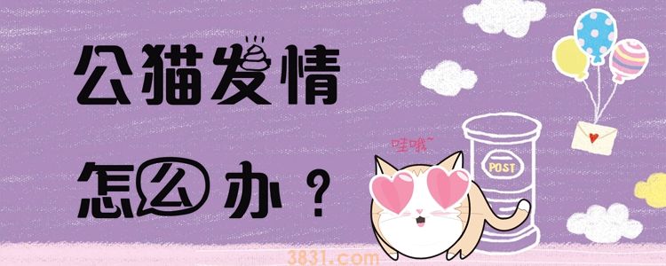 公猫发情怎么办 找真爱或者切了(图1)