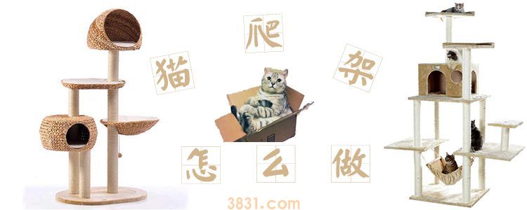 猫爬架制作教程(图1)