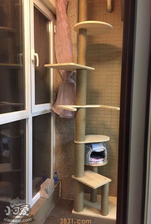 猫爬架怎么做(图14)
