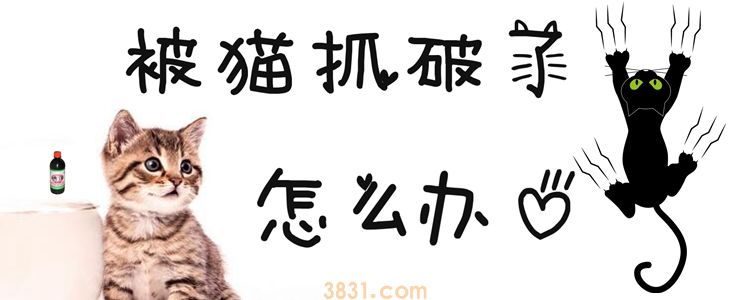 人被猫抓破了怎么办(图1)