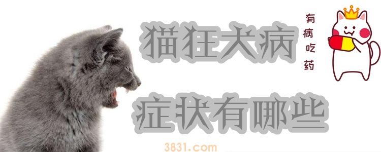 猫狂犬病症状有哪些(图1)