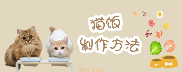 猫饭制作方法(图1)