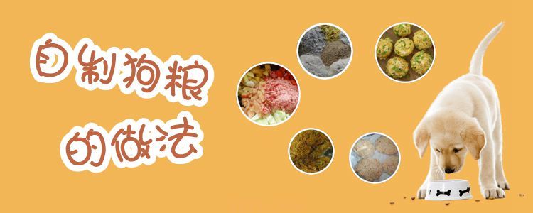 自制狗粮的做法(图1)